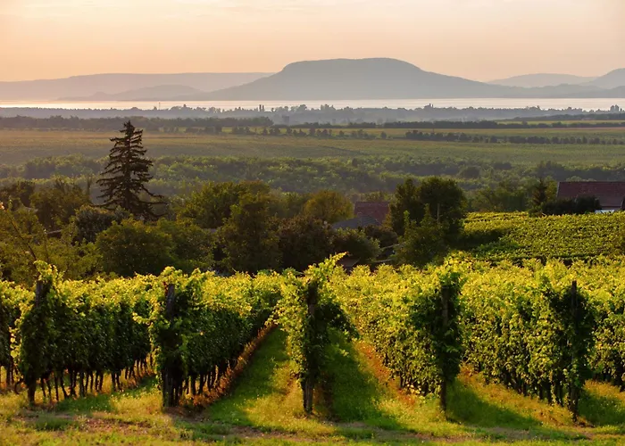 In 54826 Casa vacanze *